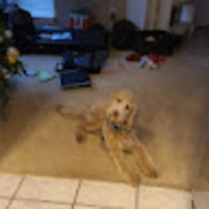 Meet your Posher, Kylie